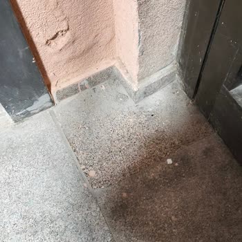 Akpack Temizlik Şikayeti
