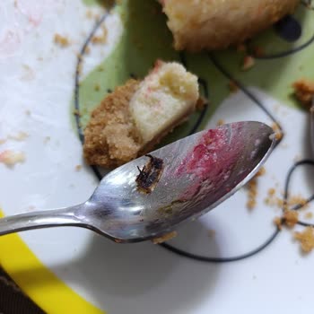 A101 Şubesinde Cheesecake’te Ölü Arı, İade Talebi