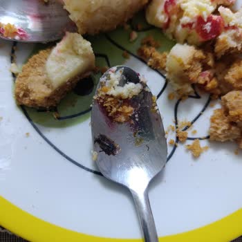 A101 Şubesinde Cheesecake’te Ölü Arı, İade Talebi