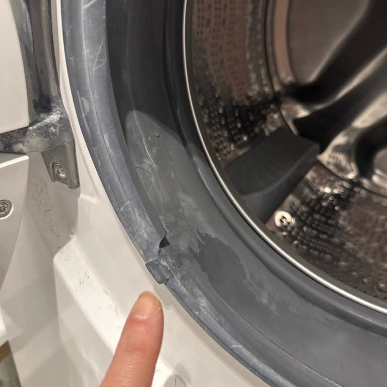 Bosch Çamaşır Makinemde Su Kaçırma Ve Lastik Yırtılması Garanti Kapsamında Onarım Talebi