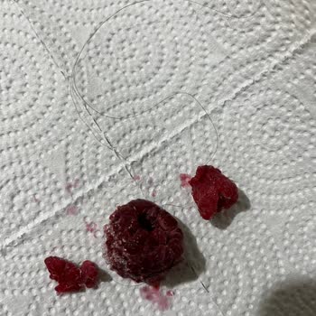 Lavi Juice Dondurulmuş Frambuaz Ürününde Saç Teli Hijyen İhlali