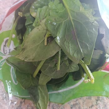 Yıkanmış Ispanak Siparişi Çamurlu Ispanakla Gelen Getir Hatası