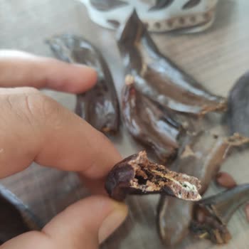 Keçiboynuzu Ürünü Küflü Ve Kurtlu, Şirketle İletişim Sağlanamıyor