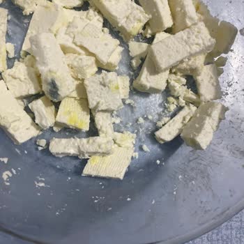 Bosch Buzdolabının Erken Küflenme Sorunu Ve Yetkili Servisin Yetersiz Açıklamaları