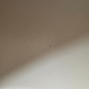 Kavanoz Kapaklarındaki Koku Ve Seramik Tavada Bozulma