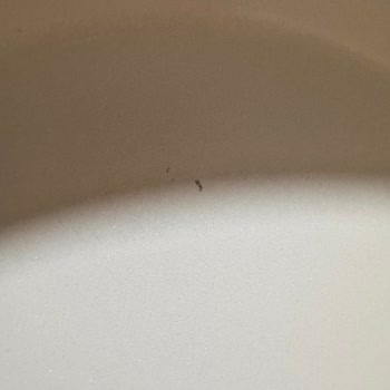 Kavanoz Kapaklarındaki Koku Ve Seramik Tavada Bozulma