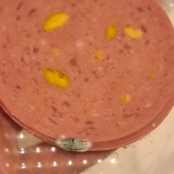 Küflü Salam Ürünün Satışta Sunulması Ve Şirketten Geri Dönüş Olmaması