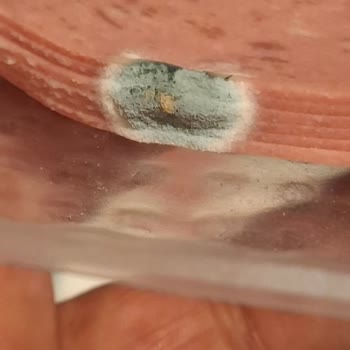 Küflü Salam Ürünün Satışta Sunulması Ve Şirketten Geri Dönüş Olmaması