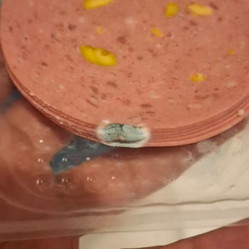 Küflü Salam Ürünün Satışta Sunulması Ve Şirketten Geri Dönüş Olmaması