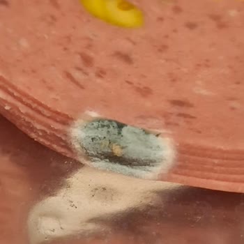 Küflü Salam Ürünün Satışta Sunulması Ve Şirketten Geri Dönüş Olmaması