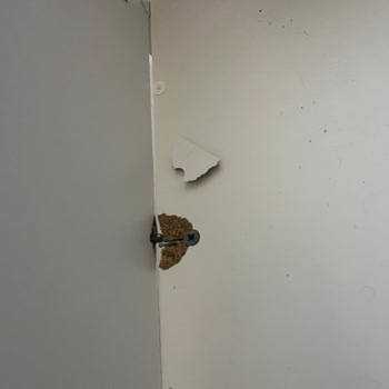 Vivense Yatak Karyolasındaki Kırık Ve Gıcırdama Sorunu İçin İade Talebi