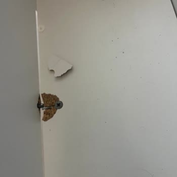 Vivense Yatak Karyolasındaki Kırık Ve Gıcırdama Sorunu İçin İade Talebi