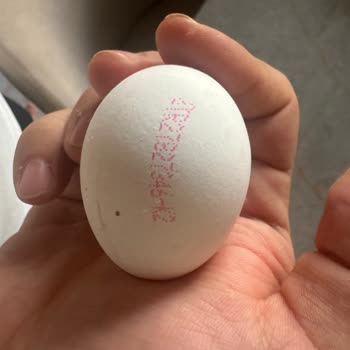 M Boy Yumurta S Boydan Küçük Antakya BİM Mağazasında Yanıltıcı Etiket