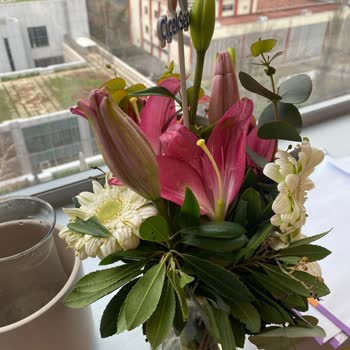 Çiçek Sepeti Siparişinde Çürük Çiçek Ve Cevapsız İletişim