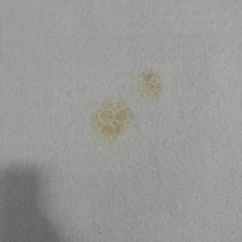 Seron Halı Yıkama Lekeleri Çıkaramamış!