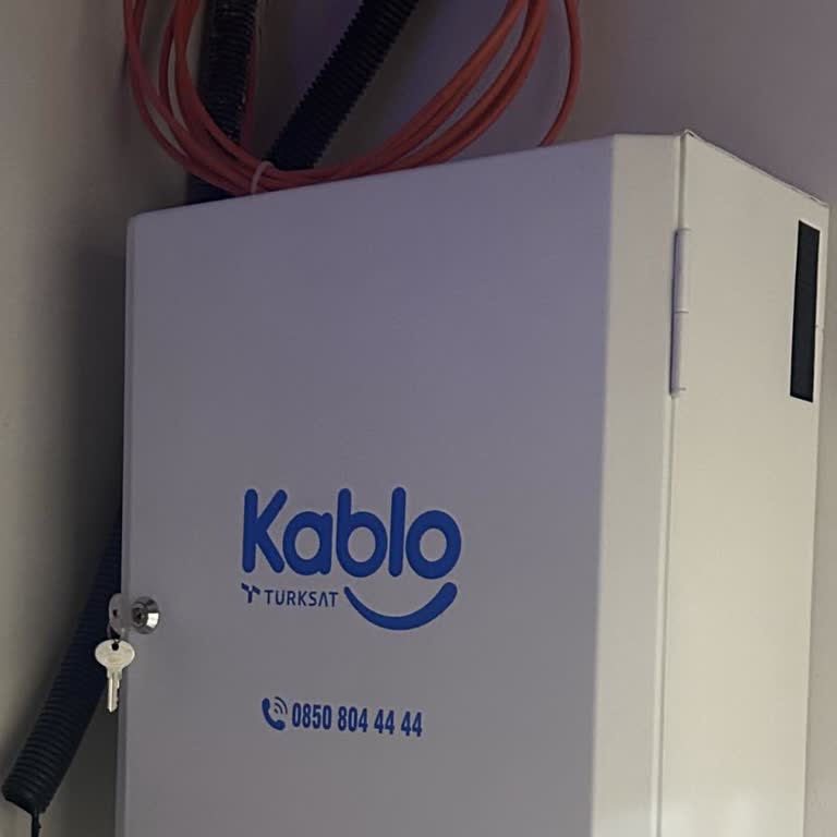 Kutu Bağlantısı Kuruldu, İnternet 20 Gün Boyunca Aktif Edilemedi