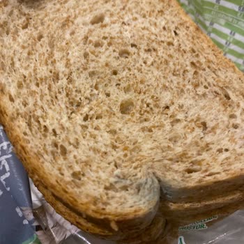 Uno Ekmek Son Tüketim Tarihi Olmasına Rağmen Küflenmiş!