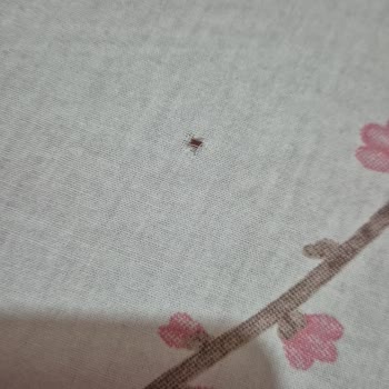 Arçelik 9100 DMX Çamaşır Makinesinde Kıyafetlerde Mercimek Büyüklüğünde Delikler Oluşturuyor