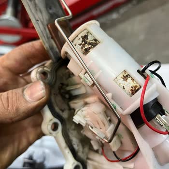 Sıfır Zontes 350T2'de Depo Küflenmesi Ve Garanti Reddi