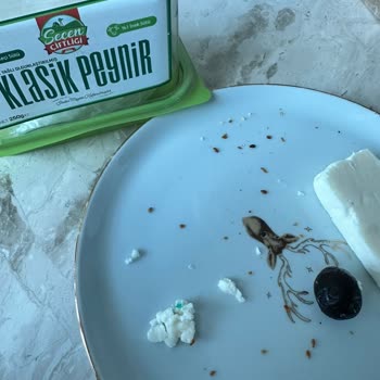 Hamile Müşterinin Keçi Peynirinde Bulunan Yeşil Sünger İçin Güvenlik Ve Hijyen Şikayeti