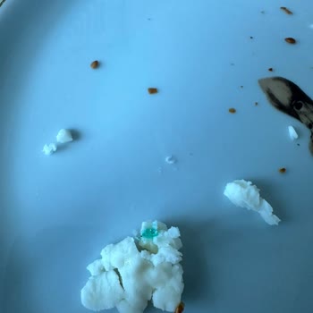 Hamile Müşterinin Keçi Peynirinde Bulunan Yeşil Sünger İçin Güvenlik Ve Hijyen Şikayeti