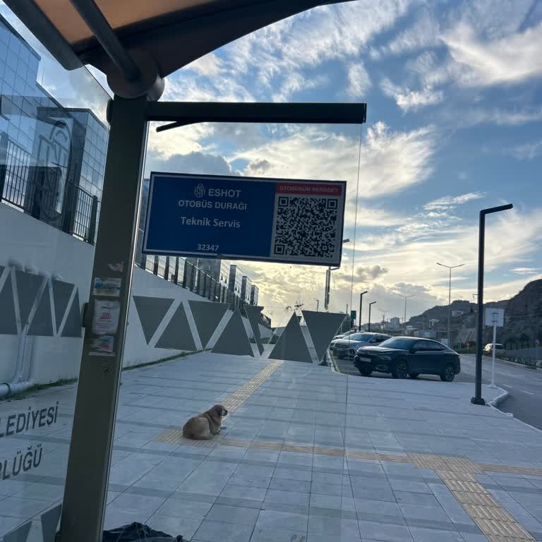 Eshot 536 Hatında Otobüs Konum Bilgileri Görünmüyor Ve Saatinde Gelmiyor