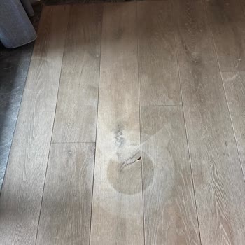 Dyson Robot Süpürge Şarj İstasyonunu Bulamıyor, Parkelere Zarar Veriyor