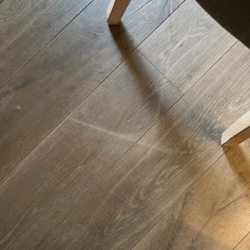 Dyson Robot Süpürge Şarj İstasyonunu Bulamıyor, Parkelere Zarar Veriyor