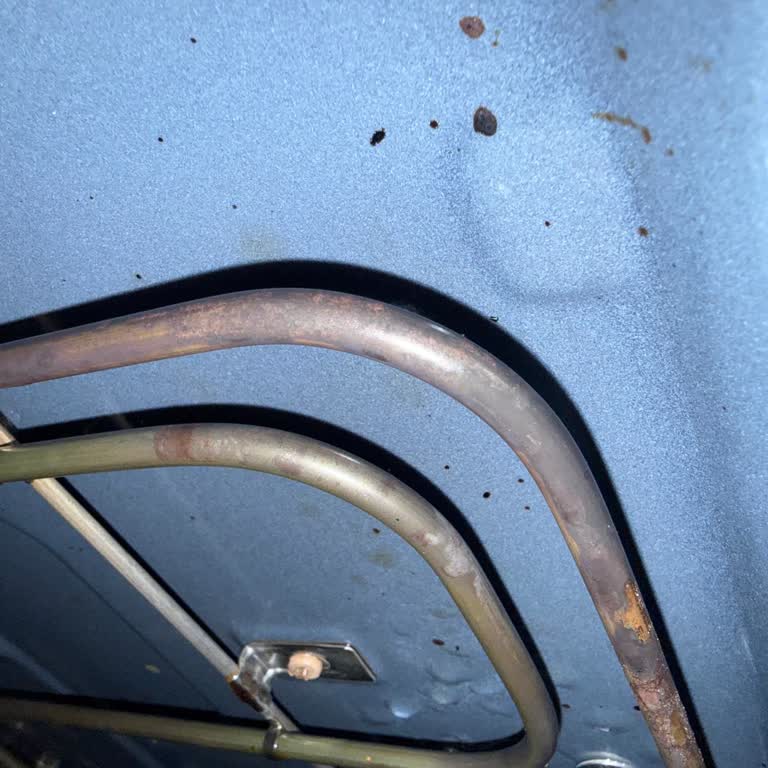 Paslı Rezidanslı Ankastre Fırın İçin Ücretsiz Onarım Ve Değişim Talebi