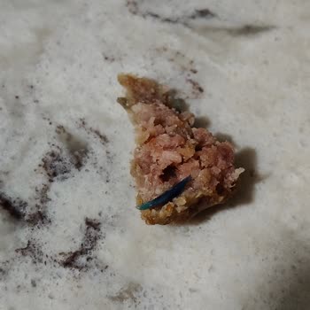 Köfte İçinde Mavi Plastik Parça Çıkması Ve İade Talebi