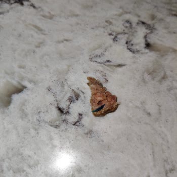 Köfte İçinde Mavi Plastik Parça Çıkması Ve İade Talebi