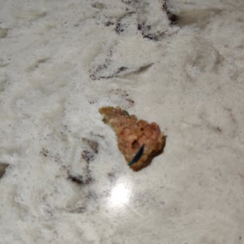 Köfte İçinde Mavi Plastik Parça Çıkması Ve İade Talebi