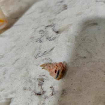 Köfte İçinde Mavi Plastik Parça Çıkması Ve İade Talebi