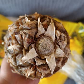 Şok Marketler Bozuk Gönderilen Ürünler!