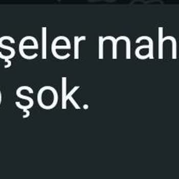 Teras Kapısının Eksikliği Kedilerden Gelen Gürültü Ve Koku Sorununu Artırıyor