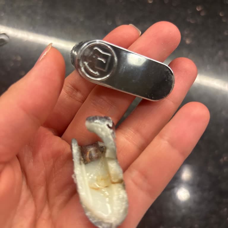 Schafer Hamur Yoğurma Makinesinin Düğmesi Kırıldı, Yedek Parça Yok