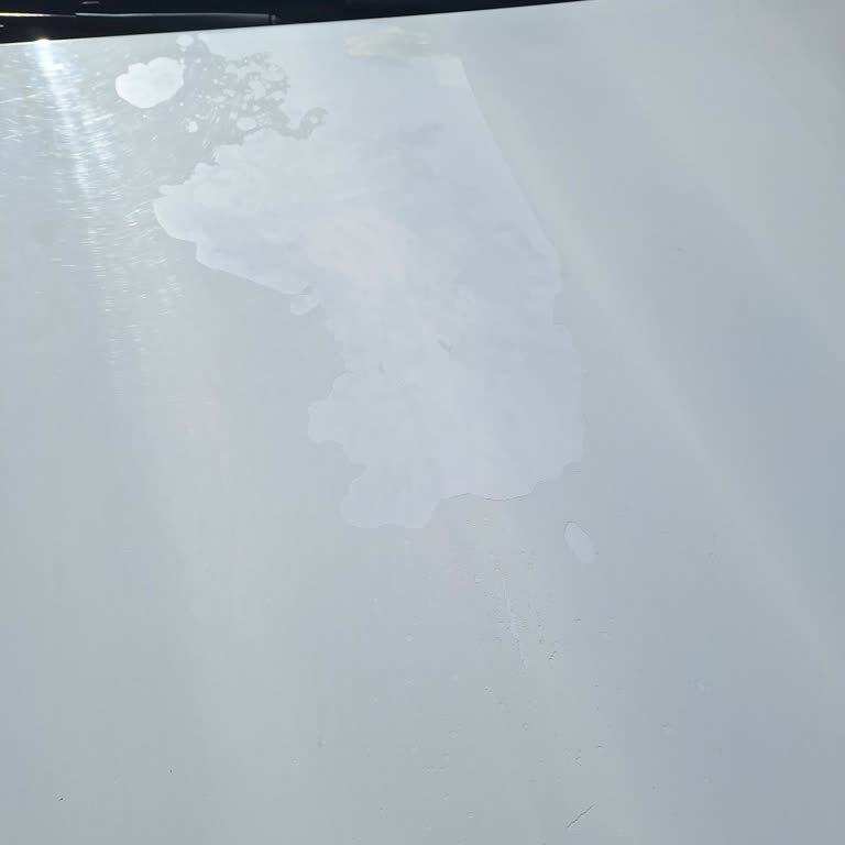 Ön Kaput Vernik Atması 10 Yıllık Garanti Reddi