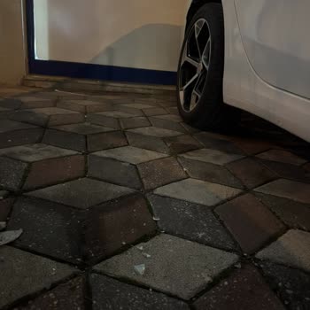 BİM Mağazası ve Bölge Sorumlusunun Tutumu Hakkında Şikayet
