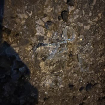 BİM Mağazası ve Bölge Sorumlusunun Tutumu Hakkında Şikayet