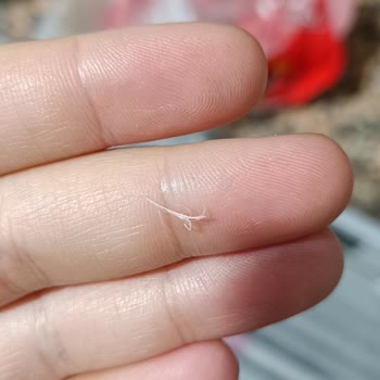 Pınar Et Ve Süt Hindi Salamdan Tüy Benzeri Cisim Çıktı!