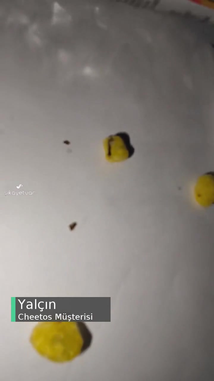 Cheetos Ürün İçinde Böcek Var! videonun kapak resmi