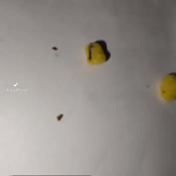 Cheetos Ürün İçinde Böcek Var!