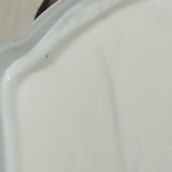 Güngören Aytuğ Market'ten Algida Dondurmada Kıl Ve Hijyen Sorunu