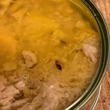 Fide Ton Balığında Böcek Çıktı