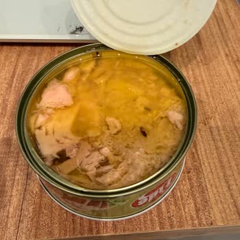 Fide Ton Balığında Böcek Çıktı