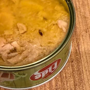 Fide Ton Balığında Böcek Çıktı