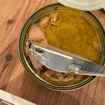 Fide Ton Balığında Böcek Çıktı