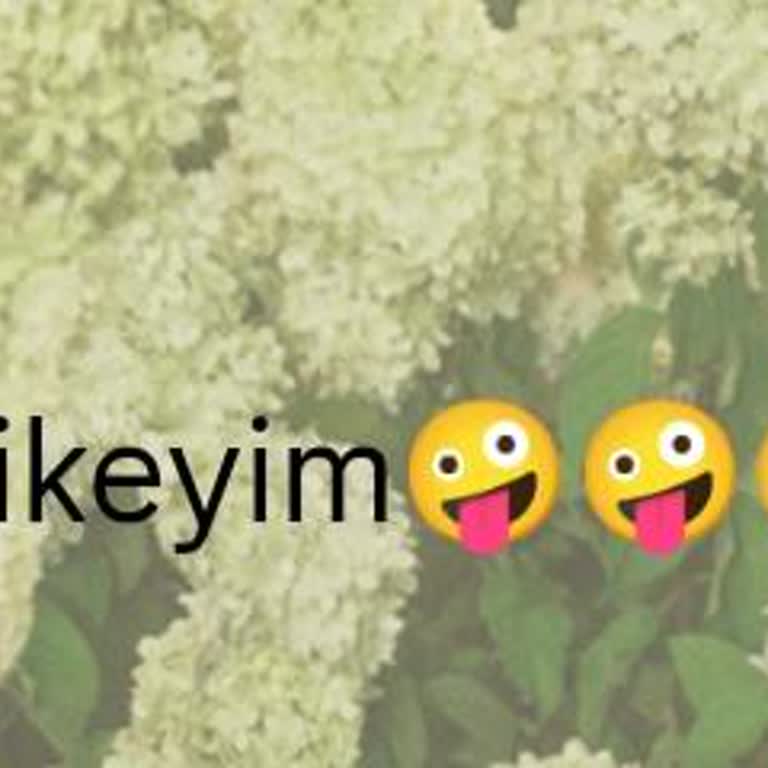 Anneye Küfür Ve Atatürk’e Hakaret İçeren Cinsel İçerikli Hesabın Kapatılması