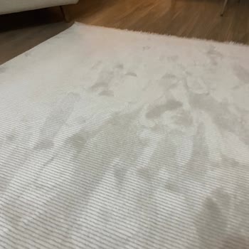 Roborock S8 Pro Halıda Zıplama Sorunu Ve Ürün Değişimi Talebi