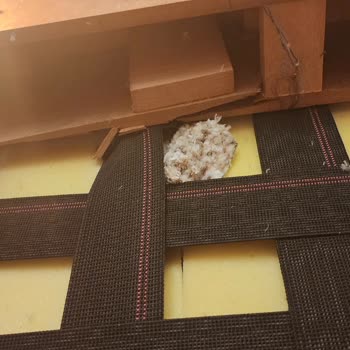 Dört Ayda Çöken Koltuk Ve Servis Yanıtı Yok, Yenisi Ve Fatura Talep Ediyorum